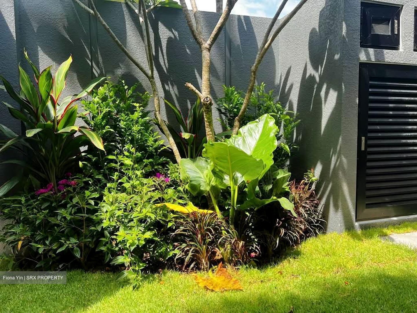 Henry Park (D10), Terrace #557816861
